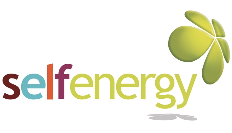 Self Energy Ltd